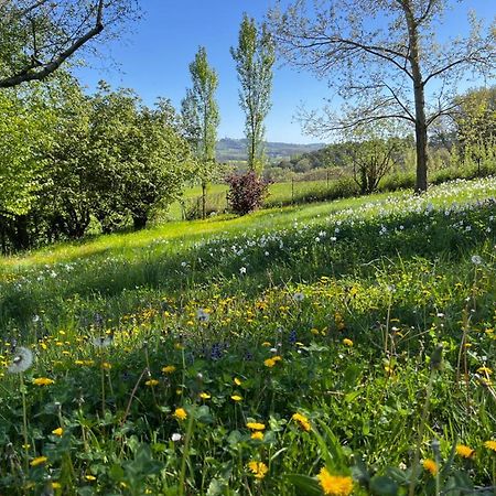 Bergerie Bed & Breakfast Montjustin Bagian luar foto