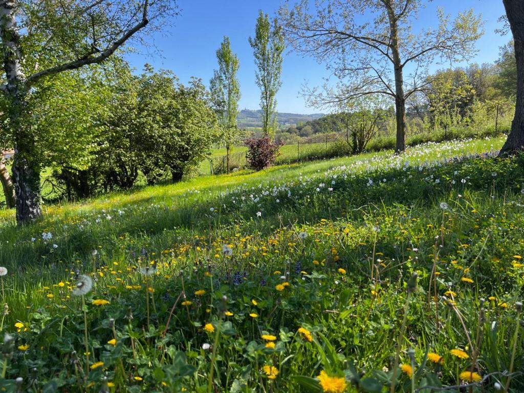 Bergerie Bed & Breakfast Montjustin Bagian luar foto